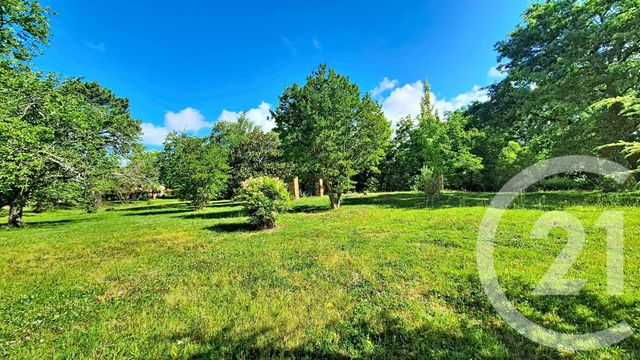 Maison &agrave; vendre - 6 pi&egrave;ces - 244,30 m2 - Auterive - 31 - MIDI-PYRENEES