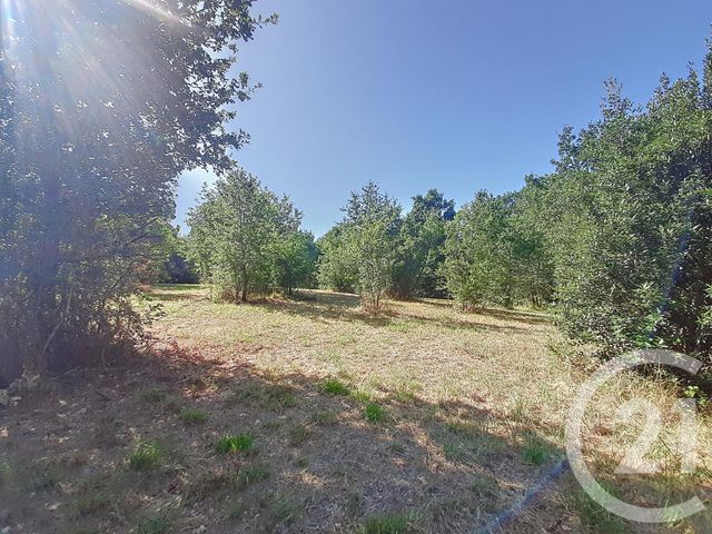 Terrain à vendre - 6300 m2 - Auterive - 31 - MIDI-PYRENEES