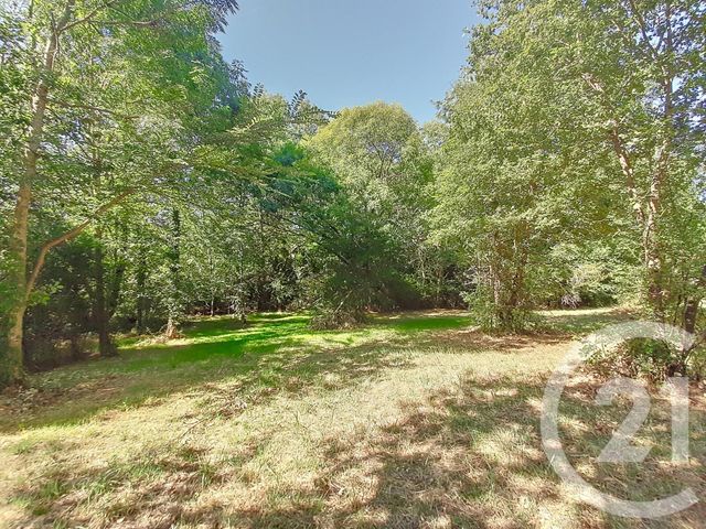 Terrain à vendre - 6300 m2 - Auterive - 31 - MIDI-PYRENEES