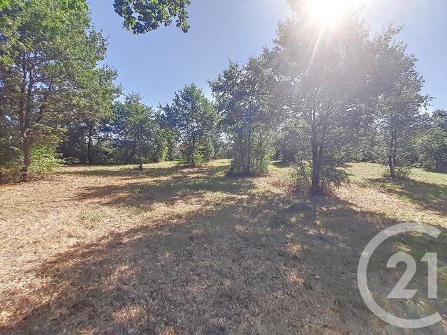 Terrain à vendre - 6300 m2 - Auterive - 31 - MIDI-PYRENEES