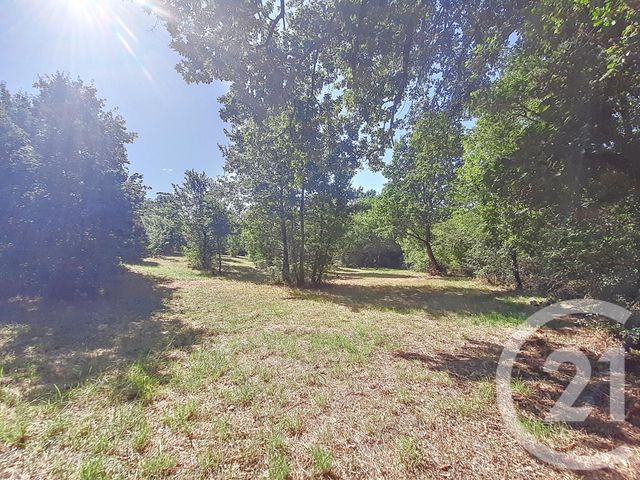 Terrain à vendre - 6300 m2 - Auterive - 31 - MIDI-PYRENEES