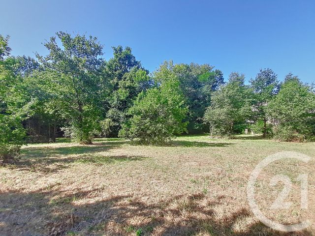 Terrain à vendre - 6300 m2 - Auterive - 31 - MIDI-PYRENEES