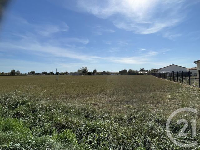 Terrain à vendre - 3969 m2 - Cintegabelle - 31 - MIDI-PYRENEES