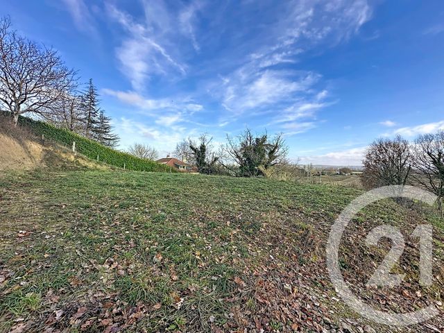 Terrain &agrave; vendre - 1786 m2 - Puydaniel - 31 - MIDI-PYRENEES