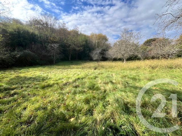 Terrain à vendre MIREMONT