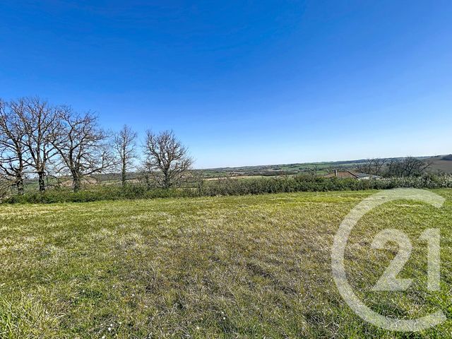 Terrain &agrave; vendre - 3430 m2 - Labruyere Dorsa - 31 - MIDI-PYRENEES