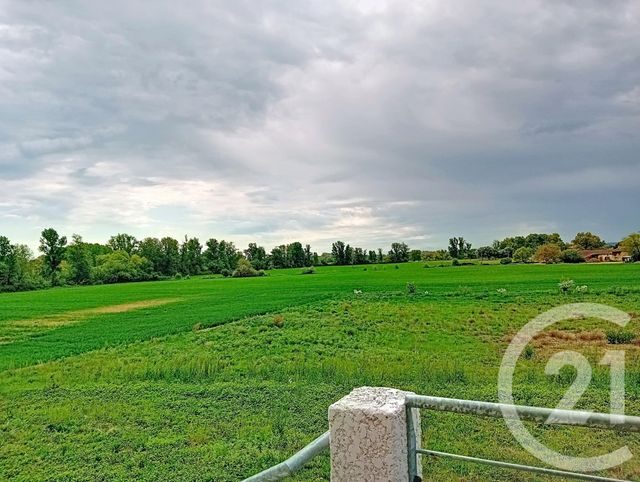 Appartement T4 &agrave; louer - 4 pi&egrave;ces - 80 m2 - Auterive - 31 - MIDI-PYRENEES