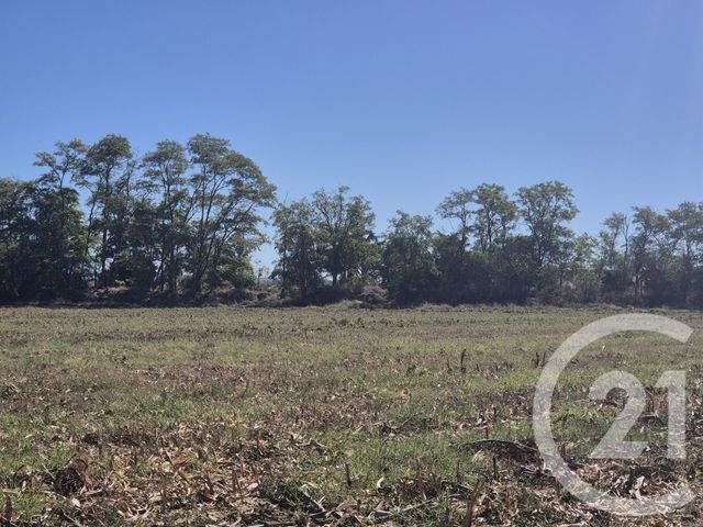 Terrain &agrave; vendre - 3575 m2 - Miremont - 31 - MIDI-PYRENEES