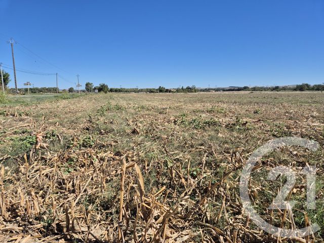 Terrain &agrave; vendre - 3575 m2 - Miremont - 31 - MIDI-PYRENEES