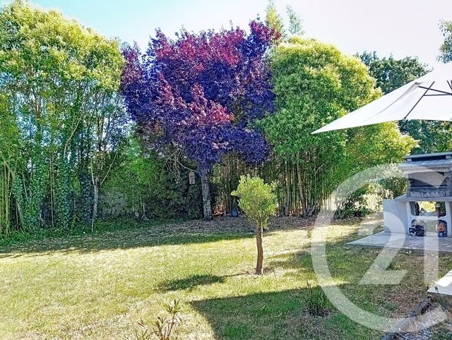 Maison &agrave; louer - 4 pi&egrave;ces - 97 m2 - Auterive - 31 - MIDI-PYRENEES