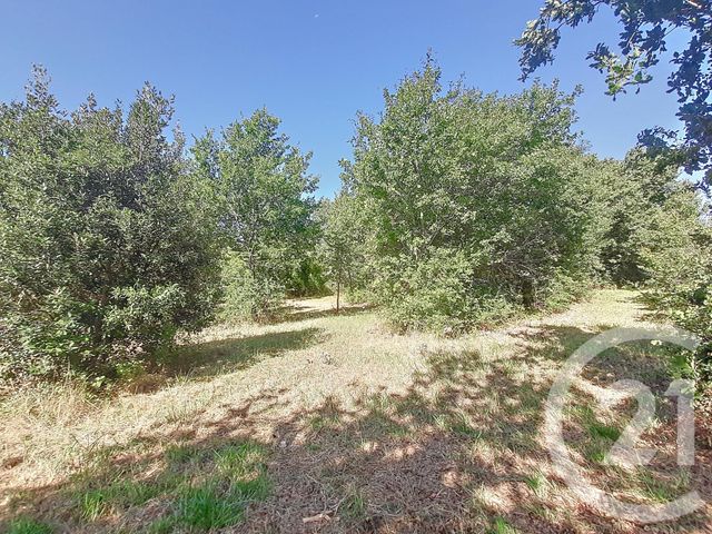 Terrain &agrave; vendre - 6300 m2 - Auterive - 31 - MIDI-PYRENEES