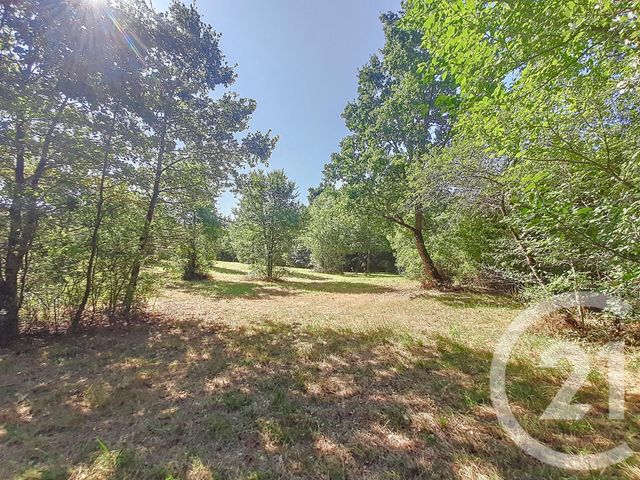 Terrain &agrave; vendre - 6300 m2 - Auterive - 31 - MIDI-PYRENEES