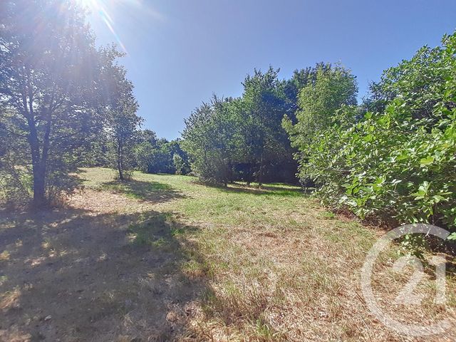 Terrain &agrave; vendre - 6300 m2 - Auterive - 31 - MIDI-PYRENEES