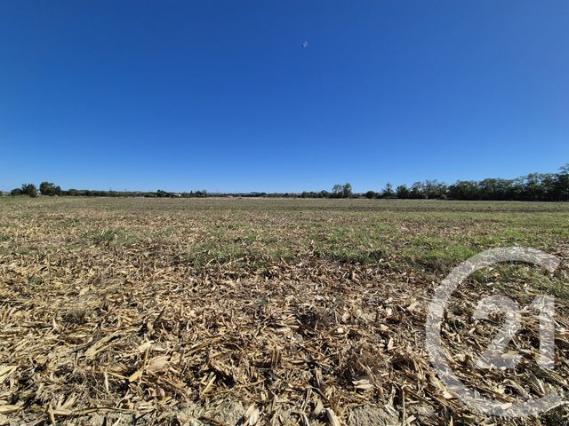 Terrain &agrave; vendre - 3605 m2 - Miremont - 31 - MIDI-PYRENEES