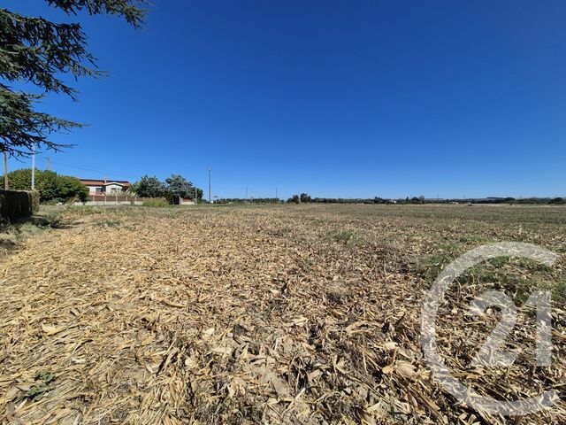 Terrain &agrave; vendre - 3605 m2 - Miremont - 31 - MIDI-PYRENEES