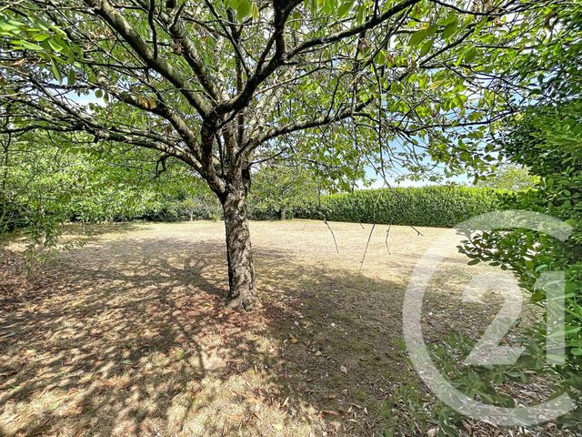 Maison &agrave; vendre - 4 pi&egrave;ces - 135 m2 - Cintegabelle - 31 - MIDI-PYRENEES