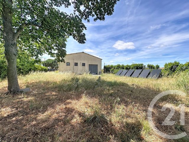 Terrain &agrave; vendre - 3732 m2 - Saverdun - 09 - MIDI-PYRENEES