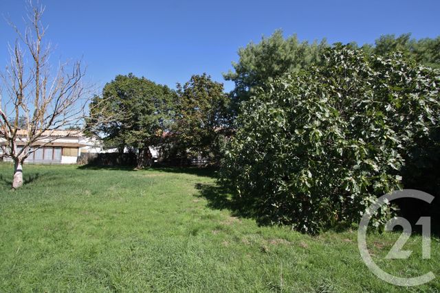 Terrain à vendre - 932 m2 - Muret - 31 - MIDI-PYRENEES