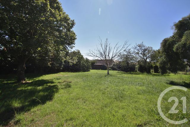 Terrain à vendre - 932 m2 - Muret - 31 - MIDI-PYRENEES