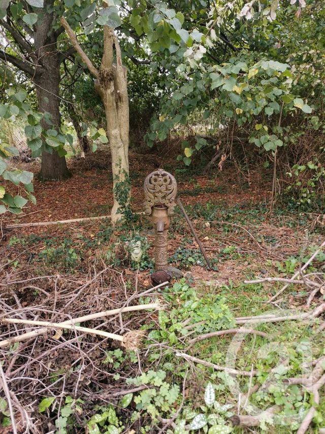 Afficher la photo en grand maison à vendre - 8 pièces - 209.0 m2 - PAILHES - 09 - MIDI-PYRENEES - Century 21 S.D.I.