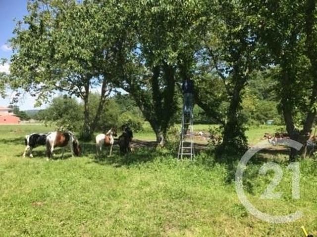 Afficher la photo en grand maison à vendre - 4 pièces - 105.59 m2 - 09 - MIDI-PYRENEES - Century 21 S.D.I.